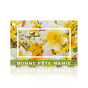 Carte Bonne fête Mamie - 10 Unités