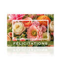 Sincères félicitations - Cartes de vœux 10 pièces
