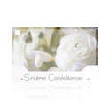 Cartes de Condoléances Sincères - 10 pièces