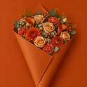 Orange chaud Emballage - Colora