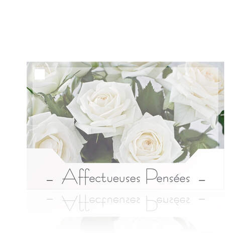 Affectueuses pensées