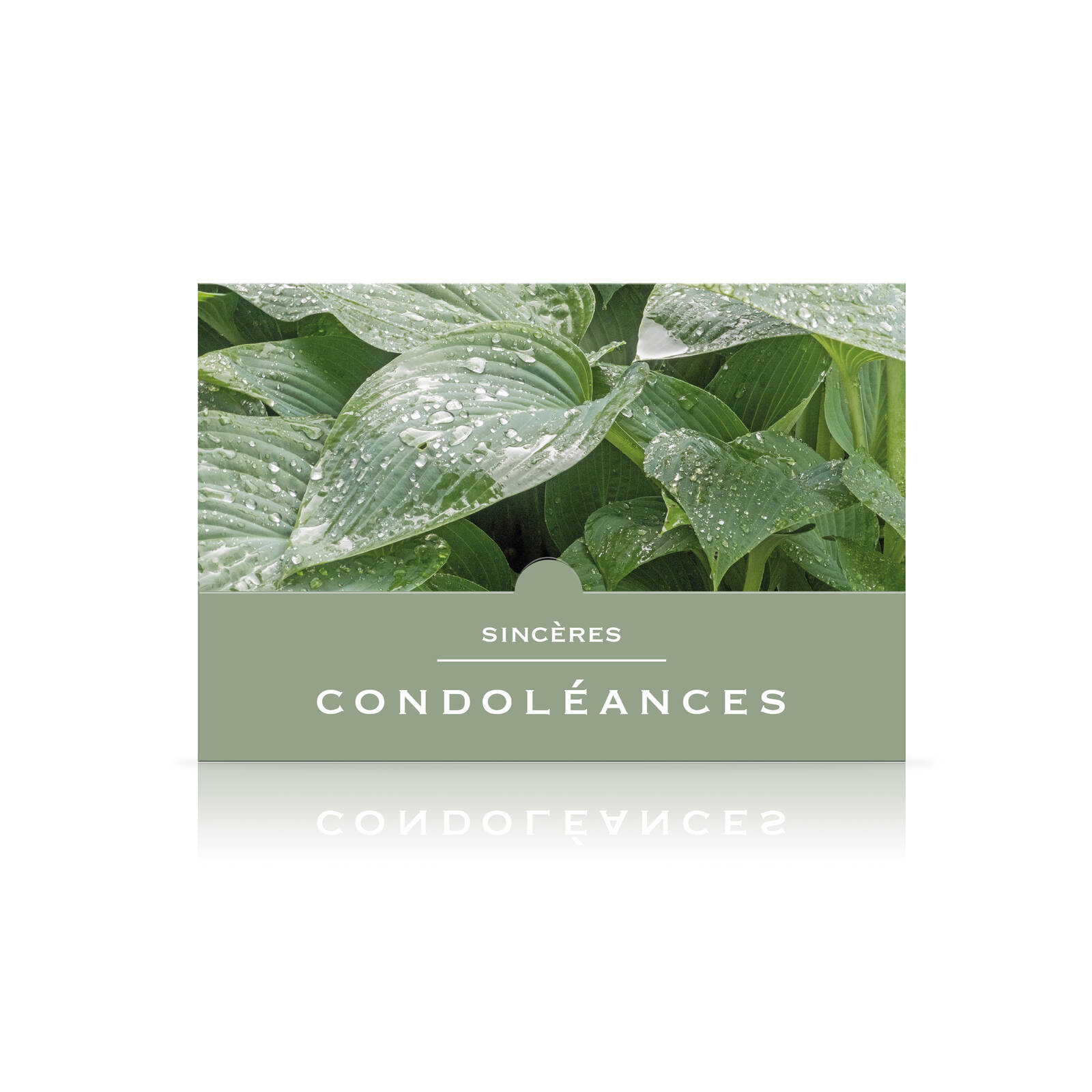 Cartes de condoléances - Sincères condoléances
