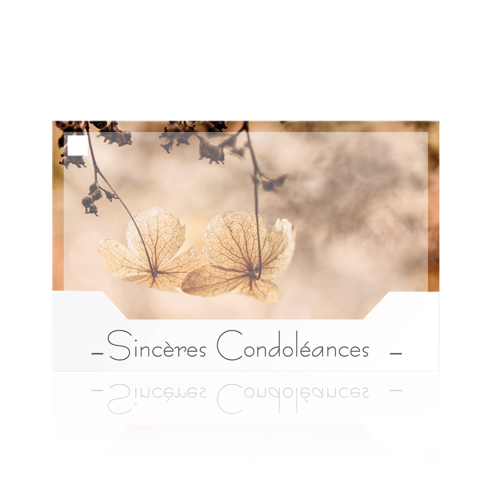 Sincères condoléances - Cartes rectangulaires
