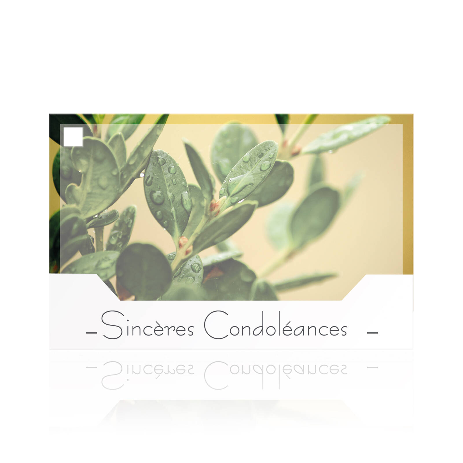 Cartes de condoléances sincères - 10 pièces