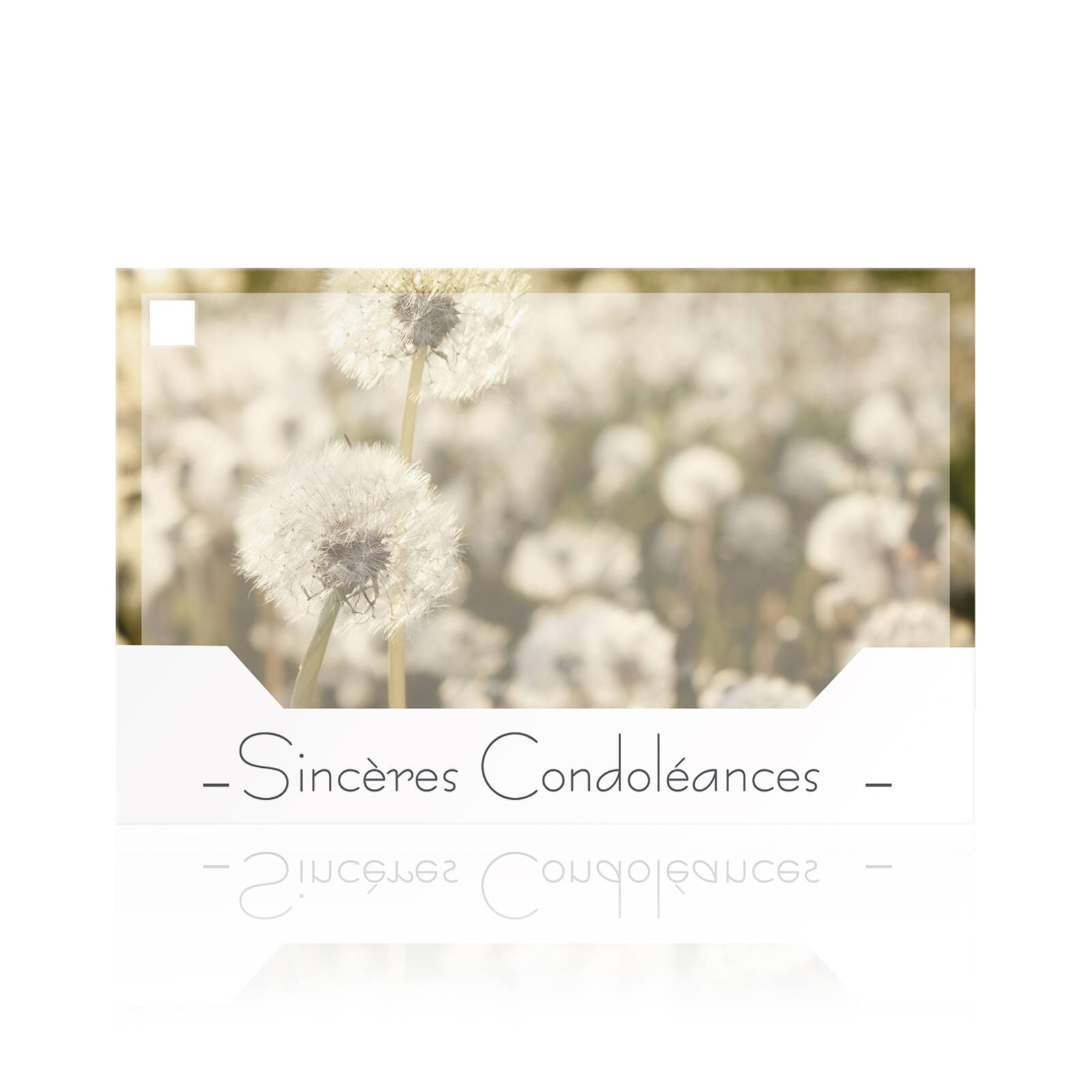 Cartes de condoléances Sincères - Lot de 10