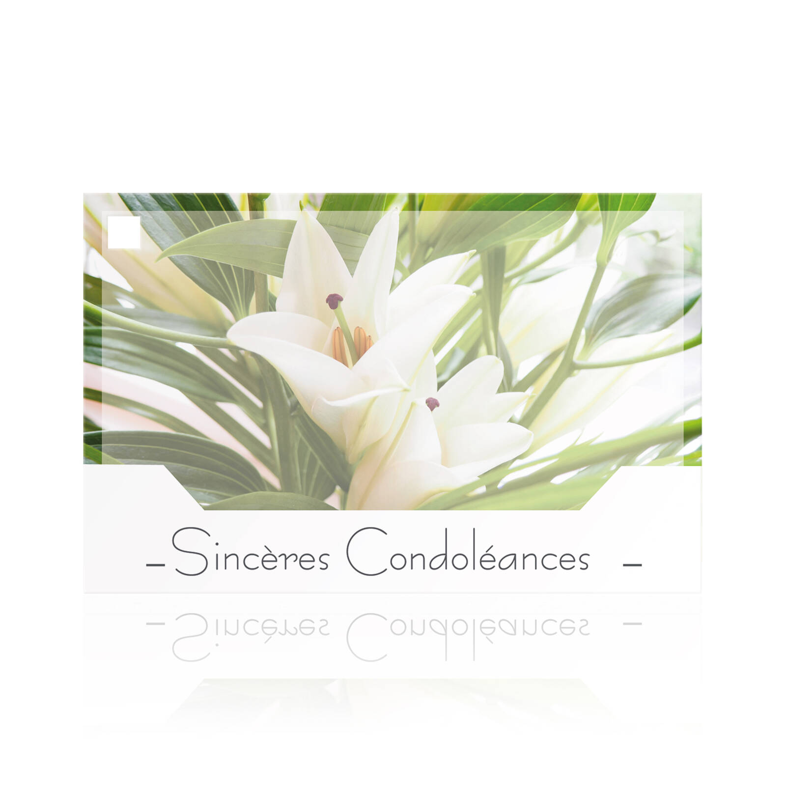 Sincères condoléances - Cartes rectangulaires