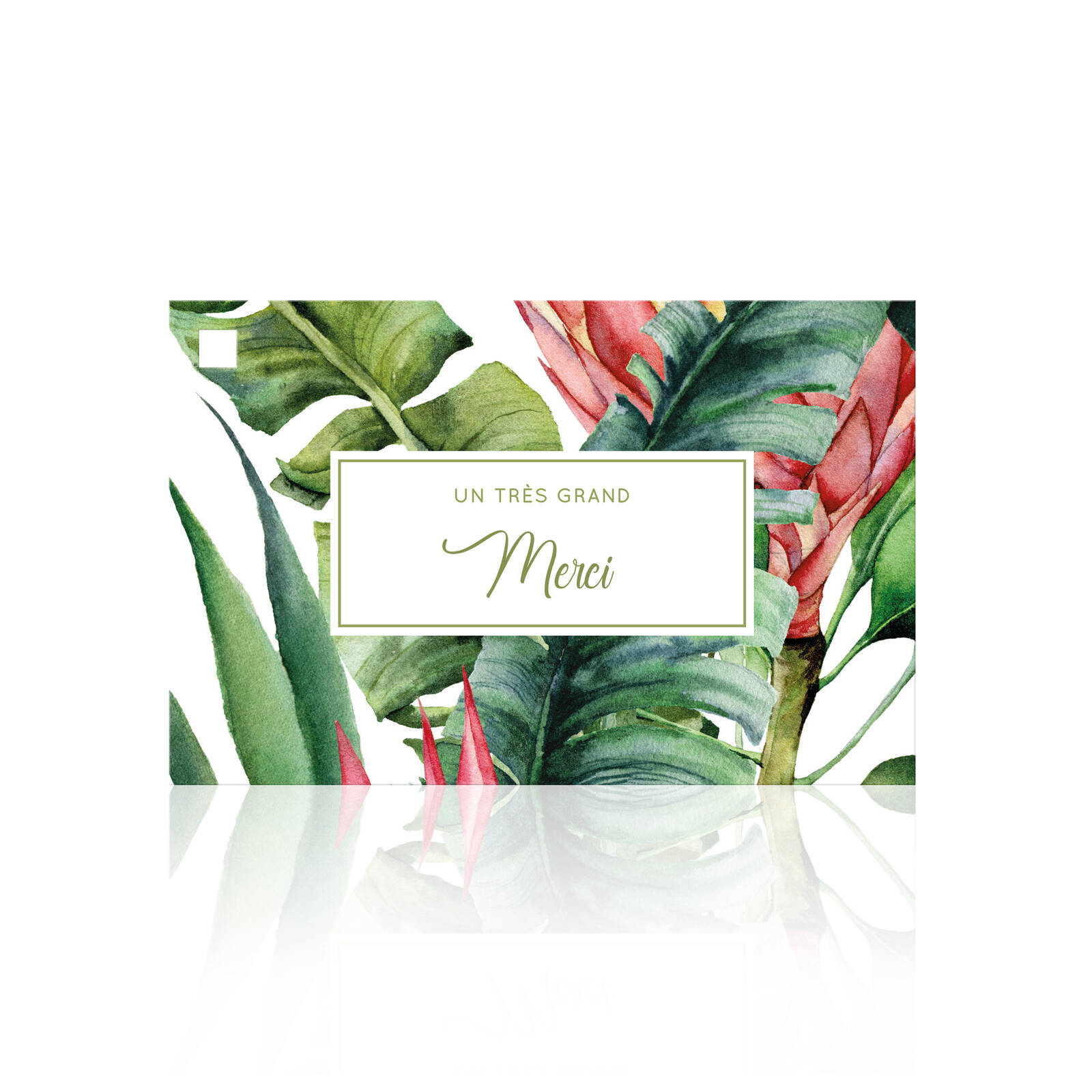 Un très grand merci - Cartes de vœux (10 pièces)