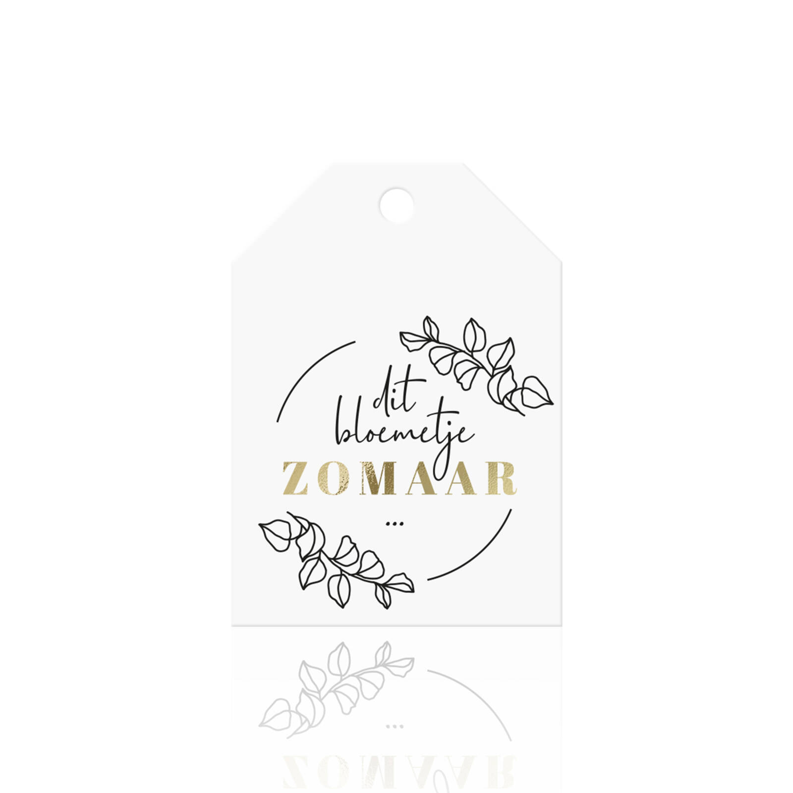 Fiorina - Cette petite fleur sans raison... (10 pcs)