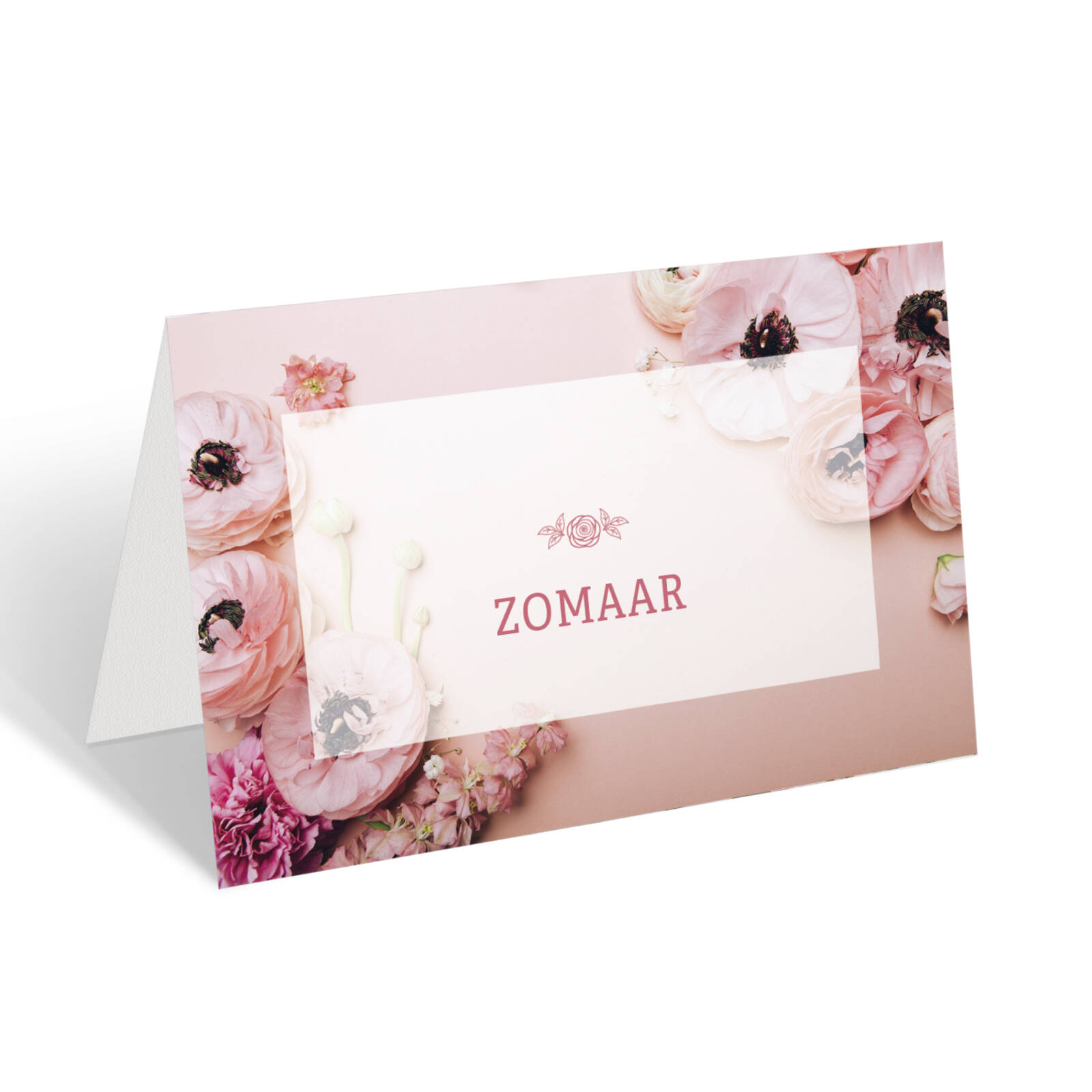 Cartes de vœux Zomaar - 10 pièces