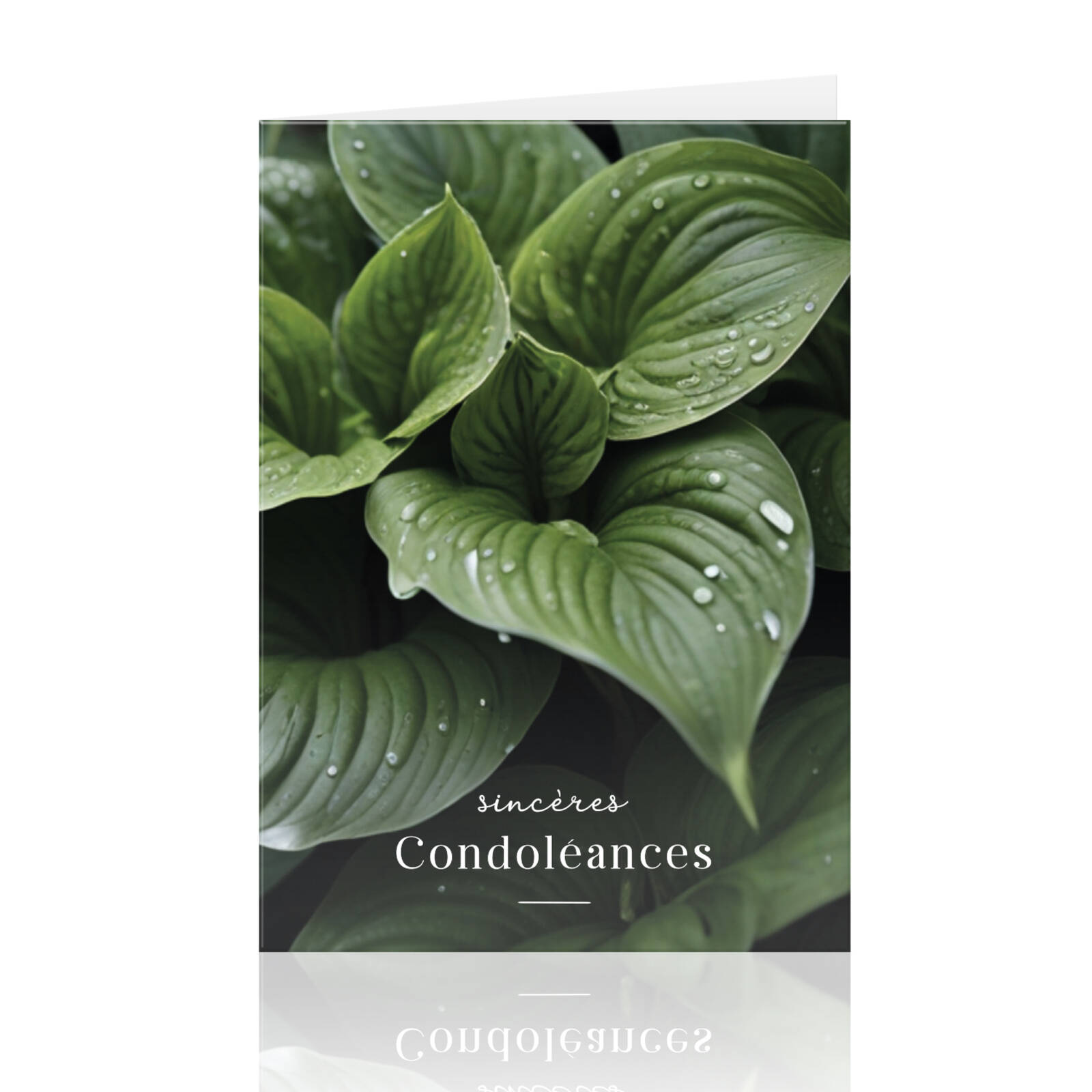 Cartes de condoléances Sincères - 10 pièces