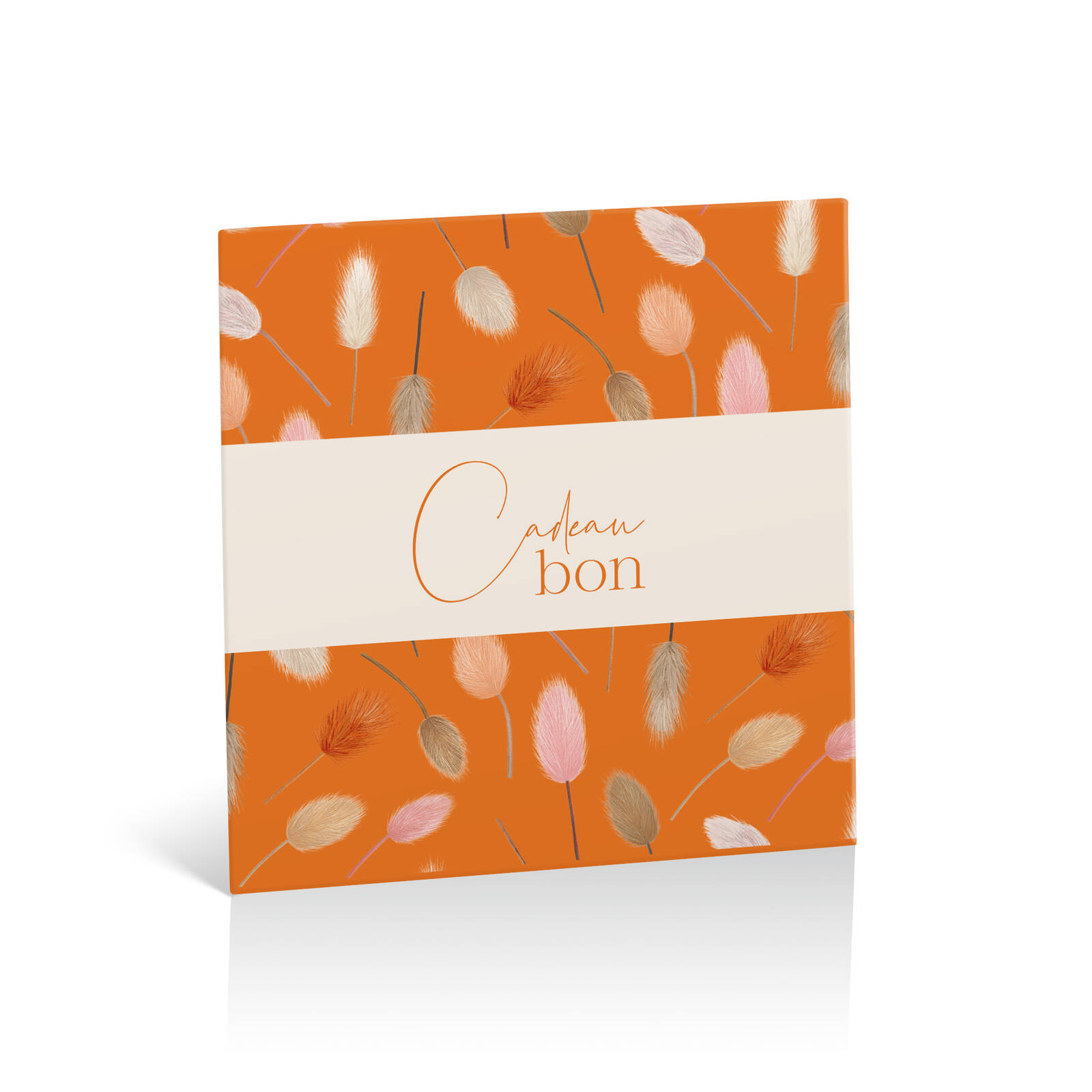 Lagurus d'Automne - Emballage de 10 Pièces