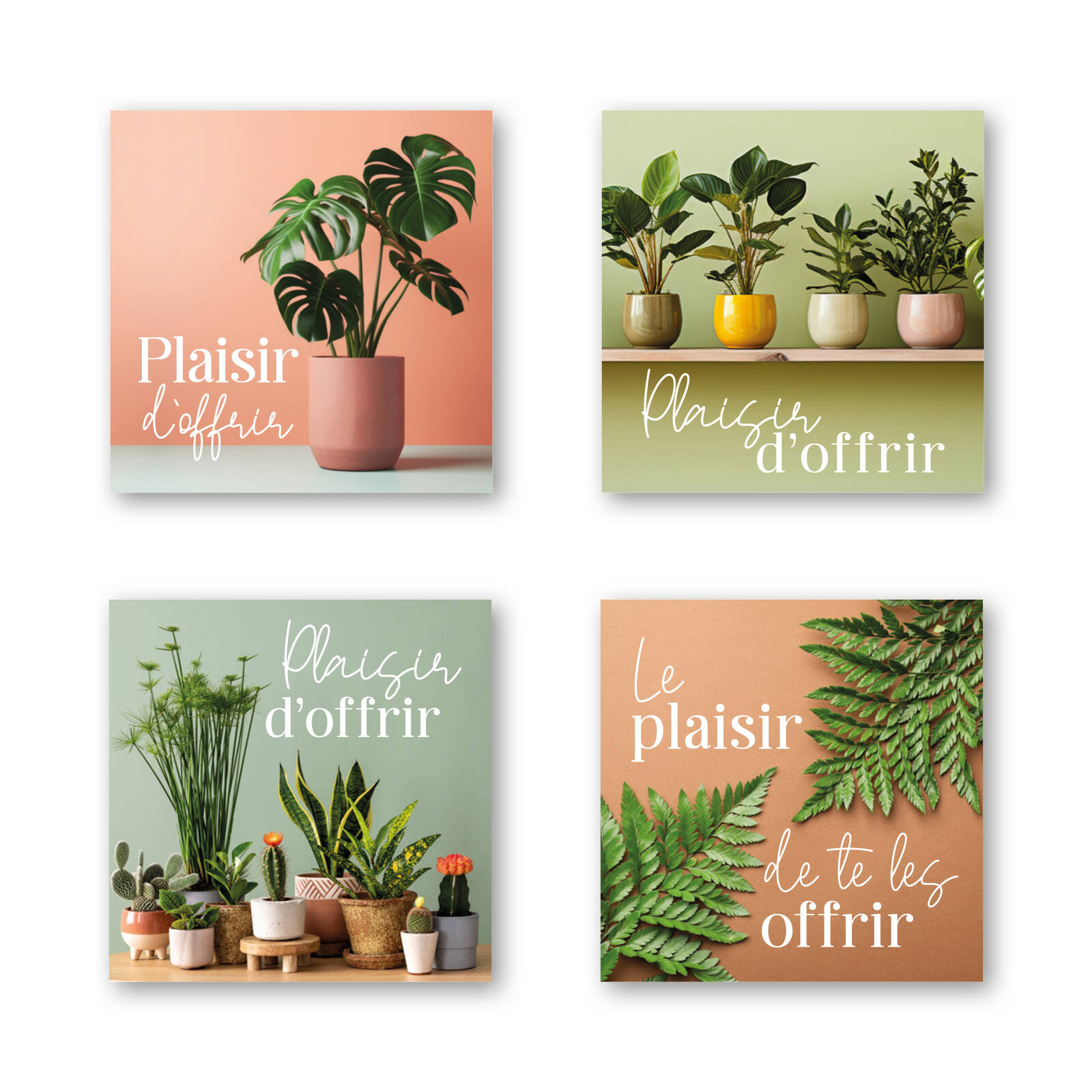 Stickers Carrés Plaisir d'Offrir - 1 Rouleau